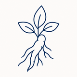 Ashwagandha Extract